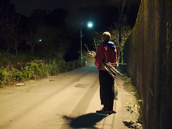 Baboo harvest in Taiwan